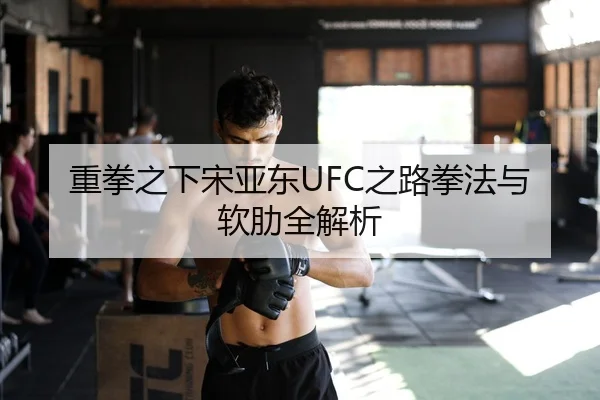 重拳之下宋亚东UFC之路拳法与软肋全解析