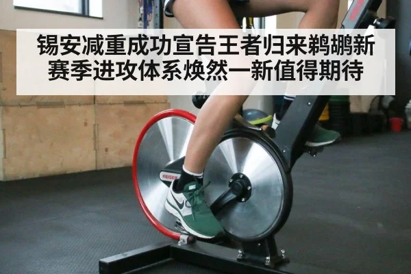 锡安减重成功宣告王者归来鹈鹕新赛季进攻体系焕然一新值得期待